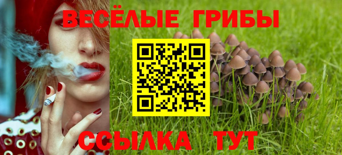 дарнет шоп  Псилоцибиновые грибы ЛСД  Вход с VPN  Радужный  Псилоцибиновые грибы Cubensis 